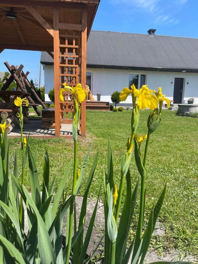 Pokoje Kama Villa Zator Eksteriør bilde